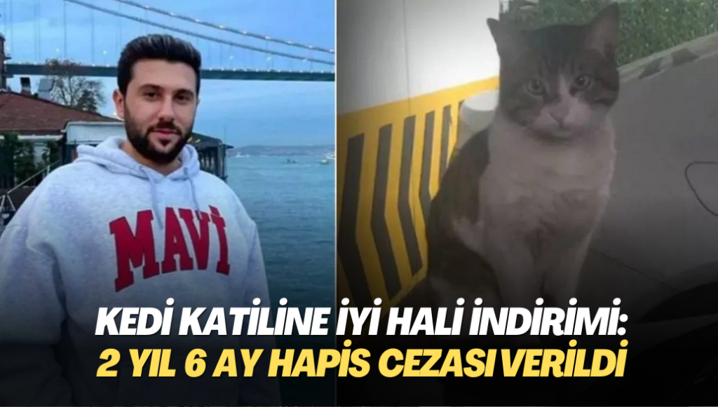 Kedi katiline iyi hali indirimi: 2 yıl 6 ay hapis cezası