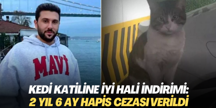 Kedi katiline iyi hali indirimi: 2 yıl 6 ay hapis cezası