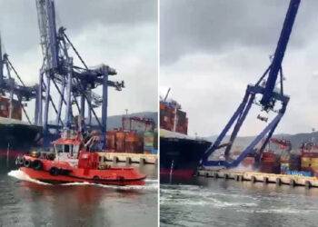 Kocaeli’de limana yanaşan konteyner gemisi 3 vinci devirdi