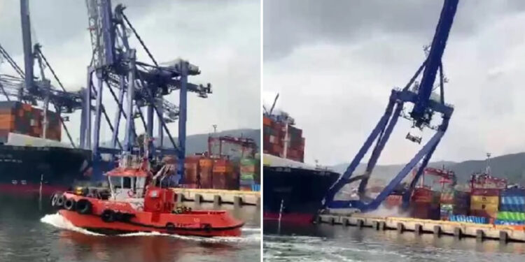 Kocaeli’de limana yanaşan konteyner gemisi 3 vinci devirdi