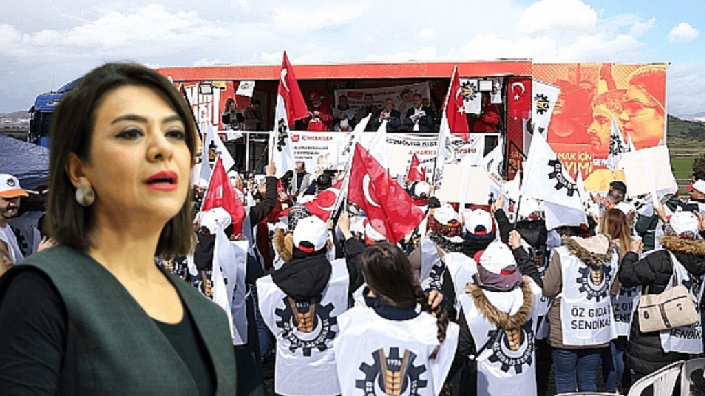 "Köle ticareti" Meclis gündeminde | CHP Genel Başkan Yardımcısı Gamze Taşcıer: "İktidar göz yumuyor"