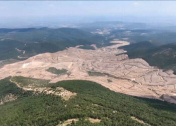 Maden şirketleri ‘doymuyor’; 10 kat büyümek için onbinlerce ağaç kesilecek!