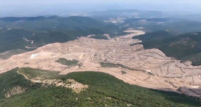 Maden şirketleri ‘doymuyor’; 10 kat büyümek için onbinlerce ağaç kesilecek!