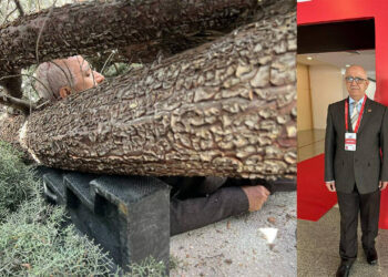 Seçim çalışması yapan adayın üstüne ağaç devrildi