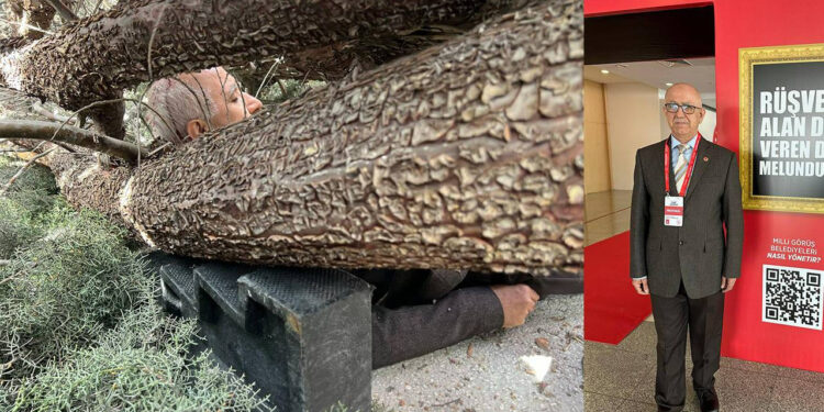 Seçim çalışması yapan adayın üstüne ağaç devrildi