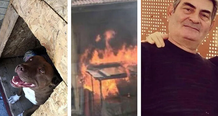 Şila’yı kulübesinde yakmıştı; yeniden yargılandı, 4 yıl hapis cezası verildi