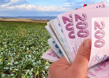Son dakika: Çiftçinin maliyeti katlandı, tarımda üretici enflasyonu arttı!