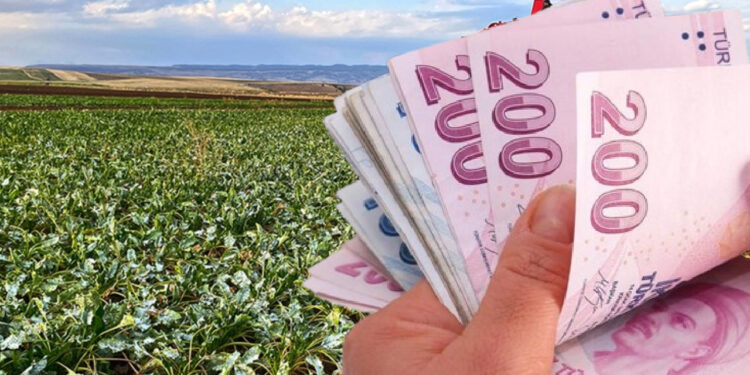 Son dakika: Çiftçinin maliyeti katlandı, tarımda üretici enflasyonu arttı!