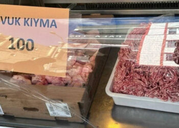 Tavuk kıymasının kilosu 100 lira oldu!