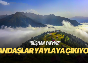 Trabzon’da iki yayla önce turizm bölgesinden çıkarıldı sonra altın madencilerine satıldı