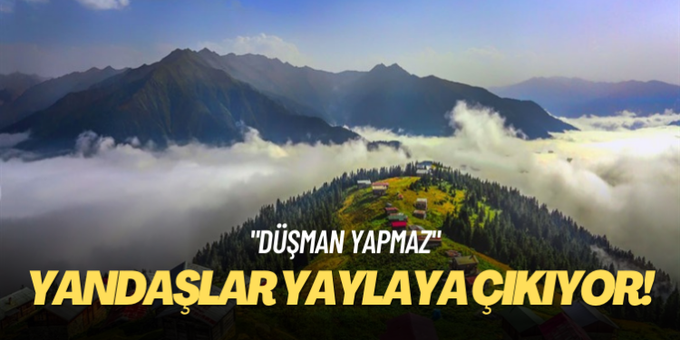 Trabzon’da iki yayla önce turizm bölgesinden çıkarıldı sonra altın madencilerine satıldı