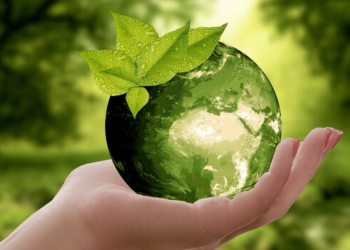 Yeşil enerjiye geçişte bazı ülkeler Paris Anlaşması’nın çok uzağında