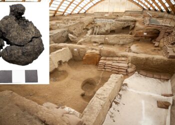 Çatalhöyük’te dünyanın en eski ekmeği bulundu: 8 bin 600 yıllık