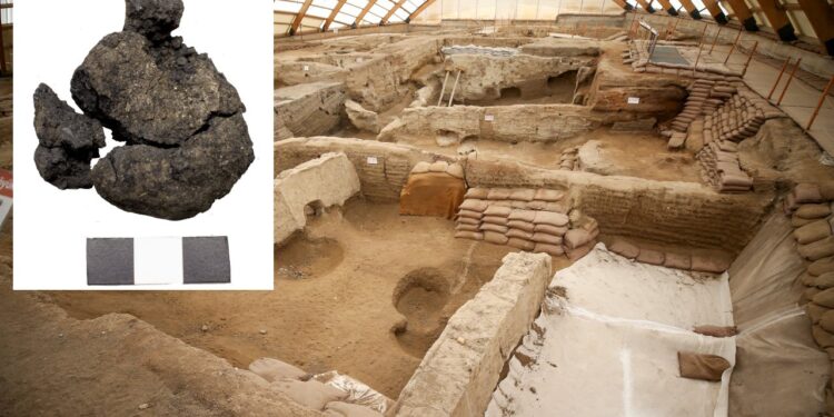 Çatalhöyük’te dünyanın en eski ekmeği bulundu: 8 bin 600 yıllık