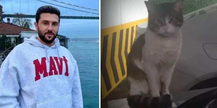 Kedi Eros’a işkence davası yarın: ‘İbrahimKeloğlantutuklansın’ etiketi gündem oldu