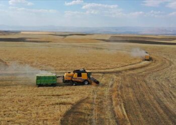 Türkiye geçen yıl 14 milyar dolarlık tarım ürünü ithal etti