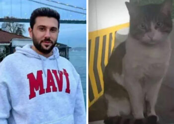 ‘İyi hal’ indirimi uygulandı; kedi katili İbrahim Keloğlan’a 2 yıl 6 ay hapis cezası