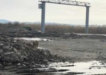 Akçay Sulak Alanı’na kaçak hafriyat dökülüyor