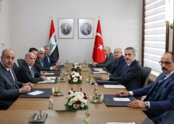 Riham Hesen: Türkiye’nin ‘Osmanlı hayali’ gerçekleşmeyecek