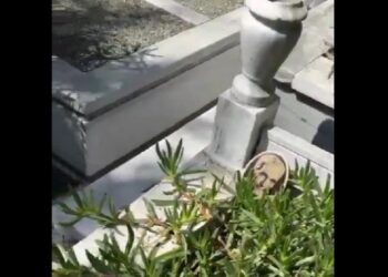 Katledilen avukat Serhat’ın mezarına saldırı