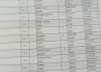 DEM Parti’den Qers’te seçimin yenilenmesi talebiyle YSK’ye başvuru