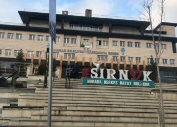 DEM Partili meclis üyeleri AKP’li Yarka’yı protesto etti