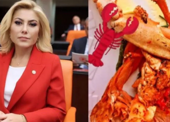 AKP’li vekilden ıstakoz paylaşımı için tuhaf özür