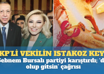 AKP’li vekilin ıstakoz ziyafeti: Şebnem Bursalı partiyi karıştırdı; ‘def olup gitsin’ çağrısı