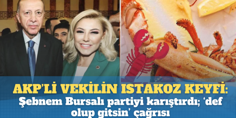 AKP’li vekilin ıstakoz ziyafeti: Şebnem Bursalı partiyi karıştırdı; ‘def olup gitsin’ çağrısı