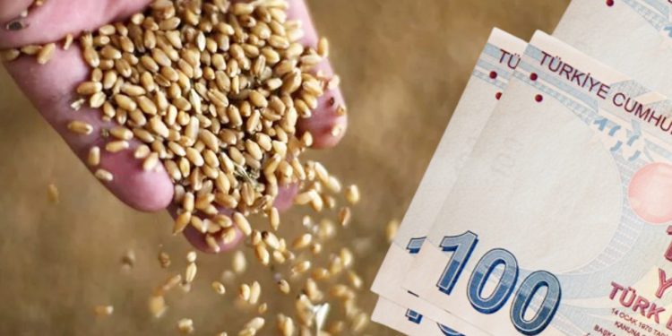 Çiftçinin elinde kaldı, TMO; buğday, arpa ve mısır fiyatlarına zam yaptı!