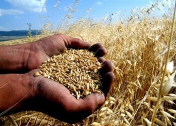 İNCELEME | İpin uçu kaçtı; çiftçinin devletten ‘yasal’ alacağı 500 milyar TL’yi geçti!