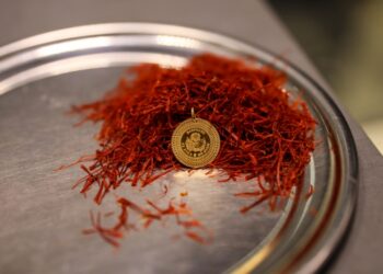 Kilosu 600 bin lira oldu; Bir tutamı ile gram altının fiyatı eşitlendi