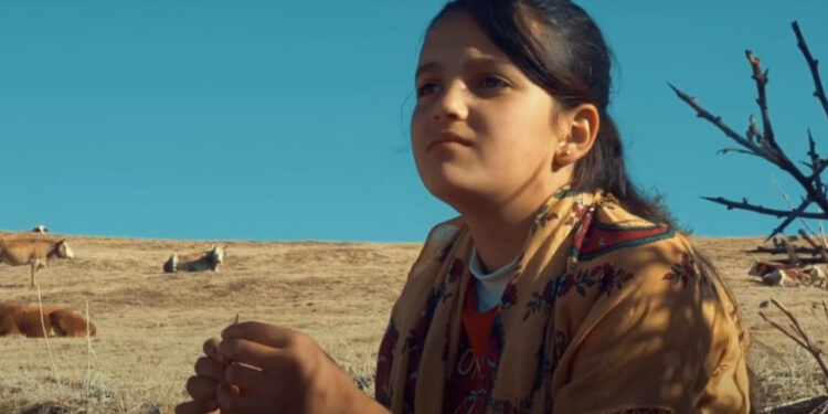 Rusya'da düzenlenen Kuzgun Uluslararası Film Festivali’nde Türk belgeseli ödül aldı