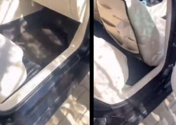 Samsun bunu konuşuyor; makam aracına suyu kim doldurdu?