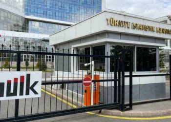 TÜİK'ten en gerçekçi araştırma: Ne et ne de balık hepsi 'hayal' olmuş