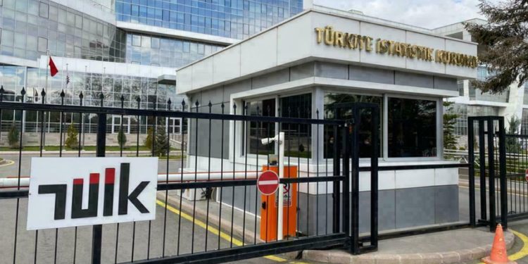 TÜİK'ten en gerçekçi araştırma: Ne et ne de balık hepsi 'hayal' olmuş