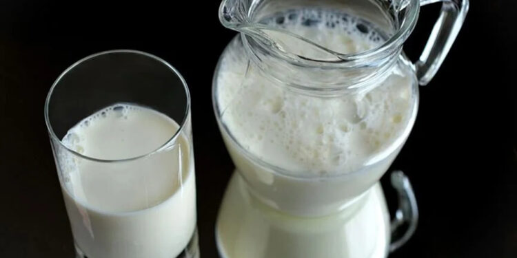 Test yapılan her 5 ticari sütten birinde kuş gribi izine rastlandı