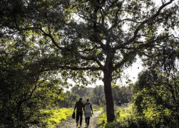 Kadıköy Belediyesi’nden Üsküdar Belediyesi’ne Validebağ daveti
