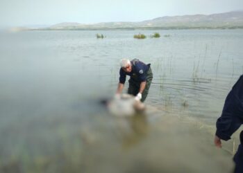 Kayıptı, baraj gölünde cesedi bulundu