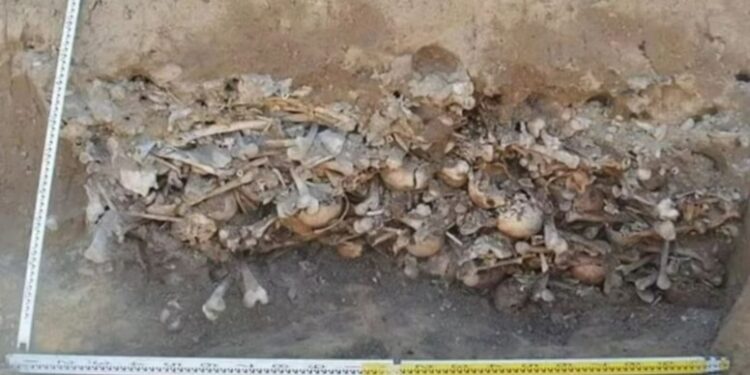 Kafaları kesilmiş 450 iskeletin yer aldığı toplu mezar tüyleri ürpertti