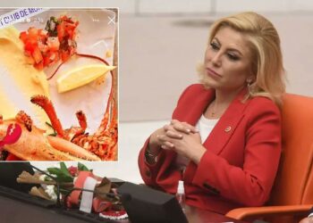 AK Partili Şebnem Bursalı’dan ‘ıstakoz’ savunması: Çarpıtıldı