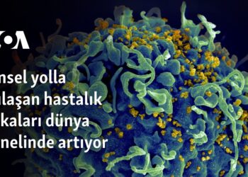 Cinsel yolla bulaşan hastalık vakaları dünya genelinde artıyor
