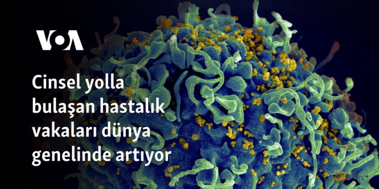 Cinsel yolla bulaşan hastalık vakaları dünya genelinde artıyor