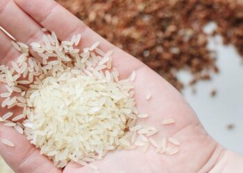 Pirinç fiyatları 15 yılın en yüksek seviyesinde