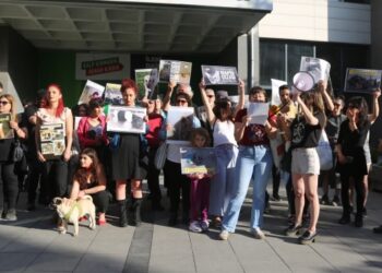 ‘Sokak hayvanlarını öldürme’ yasasına karşı oturma eylemi