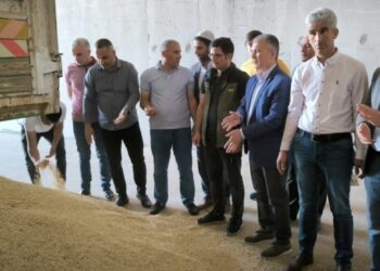 Mêrdîn’de yılının ilk hasadını yapan çiftçiye altın hediye edildi