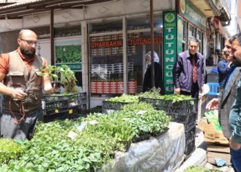 Fiyatlar katlanınca alım da satım da düştü