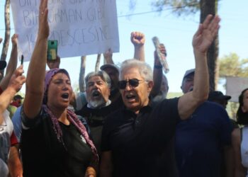 AKP’nin “köpeklere ölüm” yasasına bir tepki de Zülfü Livaneli’den