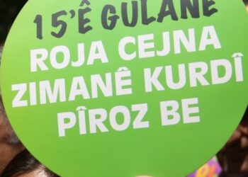 ARSİSA yöneticisi Acar: Asimilasyona karşı 365 günümüz Kürtçe olmalı