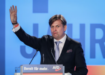 AfD’de kriz, liste başı adayın kampanya yapması yasaklandı